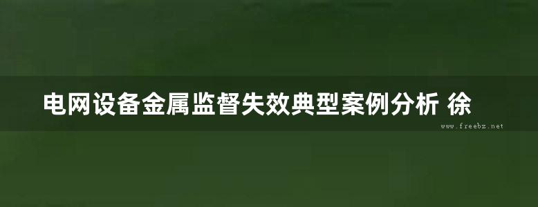 电网设备金属监督失效典型案例分析 徐玲铃 (2019版)